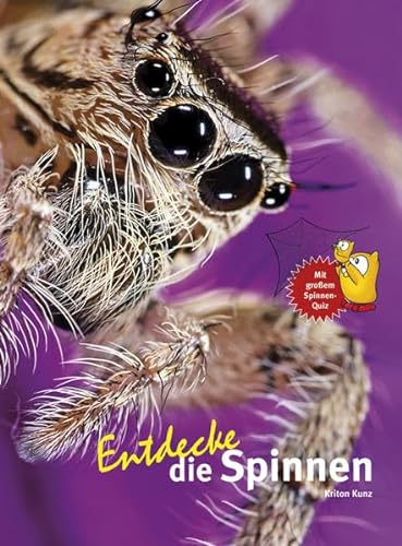 Entdecke die Spinnen (Entdecke - Die Reihe mit der Eule: Kindersachbuchreihe)