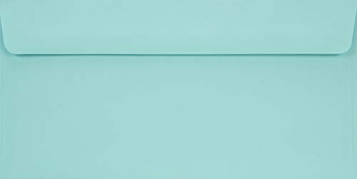 Netuno 100 Briefumschläge Hellblau DIN Lang 110x 220 mm 90g Burano Azzurro gerade Klappe ohne Fenster bunte Umschläge DL elegant Briefumschläge lang farbig Briefhüllen schön hochwertig envelopes blu