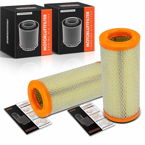 Frankberg 2x Filtro aria Compatibile con Punto 188 1.8L 1.9L 1999-2012 Punto Combi/Berlina 188 1.9L 2000-2009 Musa 350 1.6L 1.9L 2004-2012 Replace# 46552772
