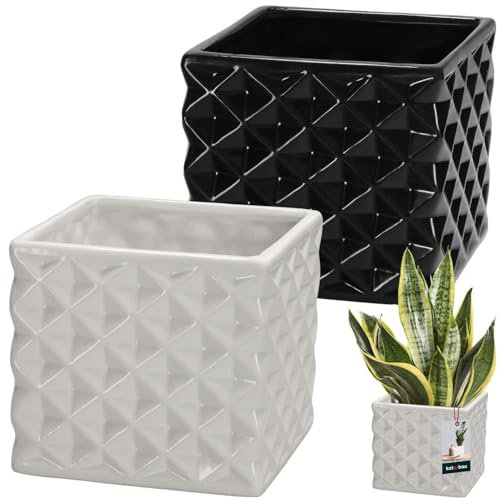 KOTARBAU® Maceta de cerámica esmaltada, cuadrada, color blanco y negro, 14 x 14 cm, altura de 13 cm, para plantas de interior, orquídeas y suculentas, maceta, maceta, maceta, maceta, maceta, maceta