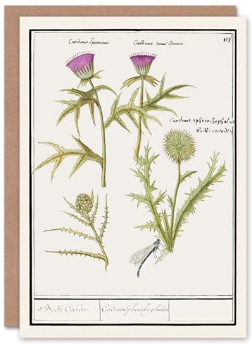 Artery8 Anselmus de Boodt Art Card Thistle and Artichoke Flowers