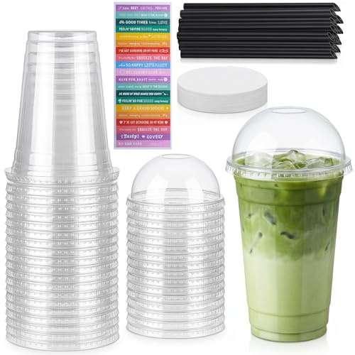 RAINPOP 100 pcs Clear Plastic Cups with Dome Lids, 16oz / 500ml Smoothie Cups, BPA-Free PET Cold Drink Cups for Iced Coffee, Tea, Smoothie, Ice Cream, Milkshakes, etc. Fits Most Car Holders