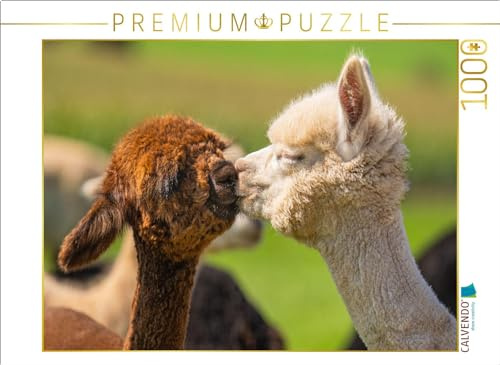 Puzzle · Alpakafohlen | Ein Motiv aus meinem Kalender Alpakas im Portrait · 1000 Teile · Lege-Größe 64 × 48 cm · CALVENDO Puzzle