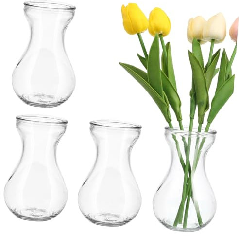 FUNOMOCYA 4pièces Vases Verre Transparent pour Boutures Terrarium De Bureau Pot De Fleurs Décoratif pour Plantes Et Centres De Table