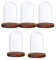 HomeDecTime Glashaube Glasglocke Set mit Holzboden Dekoration für Weihnachten Hochzeit Party Feste - 5pcs Braun, 7x12cm