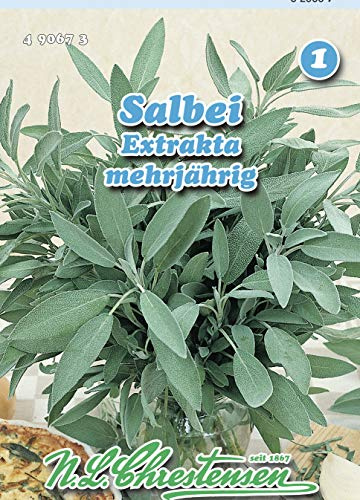 N.L. Chrestensen 490673 Salbei Extrakta (Salbeisamen)
