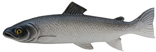 Klocke Dekorationsbedarf Naturgetreue Lebensmittel Attrappe – Künstliche Meer Artikel – Food Dummy/Plastikessen - Dekoration (Fisch - 1 Stück - 25 cm)