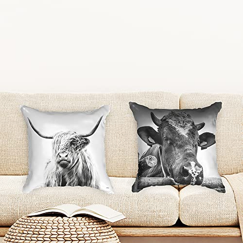 Ulticool - Kissenhülle - Schottischer Hochländer Kuh - Set von 2 Motiven – 45 cm x 45 cm - Dekokissen ohne Füllung - Kissenbezug Zubehör für Sofa/Bett - Schwarz Weiß