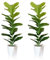 SAJANDAS 2er Set Kunstpflanze Geigenfeige mit Töpfen, 80 cm Künstliche Pflanzen Ficus Lyrata mit Grüne Blätter und Stielen, Faux Fiddle Leaf Pflanzen für Zuhause Büro Deko