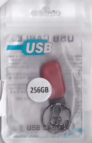 clé USB 256 go 3.0 Rapide, Transfert Rapide
