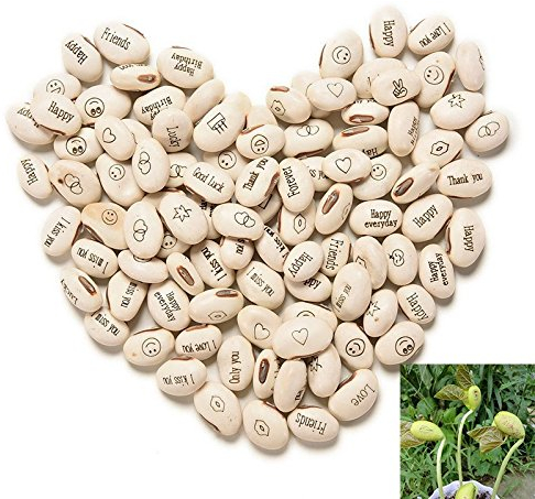 J&J Packung mit 100 Samen magische Bohnen Magic Bean Magic Beans Geschenkidee Wiederholungsereignis Neugier Idee Zuhause Geschenk Bingo Weihnachtsfeier in der Liebe besondere Nachricht…