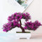 Bonsai Kunstpflanze Künstlicher Bonsai-Baum - Japanische Bonsai Naturgetreue Kunstpflanze Künstlicher Bonsai - Plastik Kunstpflanze für Büro/Fensterbank/Hof Tischdeko Büro Deko-Rosenrot