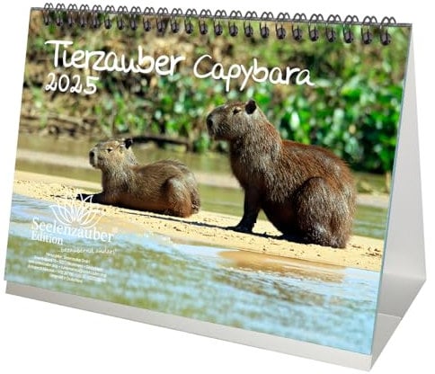 Tierzauber Capybara DIN A5 Tischkalender für 2025 Schwein Schweinchen - Seelenzauber