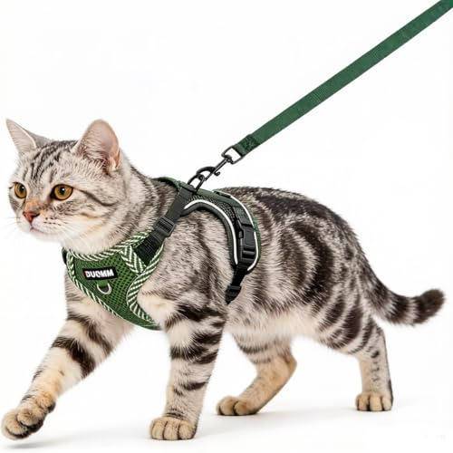 Katzengeschirr und Leine, ausbruchsicher, Kätzchengeschirr mit Leine, verstellbar, leicht, weich, mit reflektierenden Streifen, atmungsaktives Netzgewebe für Katzen, sicher im Freien (Grün, M)