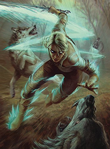 DARK HORSE Witcher 3 The Wild Hunt 3003-770 Pferd Puzzle, verschieden, Einheitsgröße