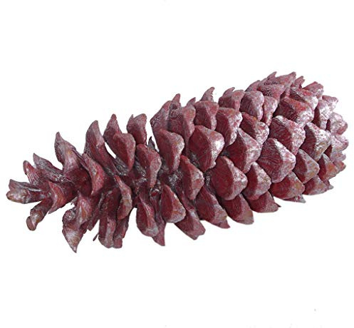 Deko AS GmbH Tannenzapfen - Riesentannenzapfen - Kiefernzapfen - Pinienzapfen - Herbstdeko - Weihnachstsdekoration - Metallic Rot/Silber - ca. 28 cm Höhe - VE = 1 Stück - 29999