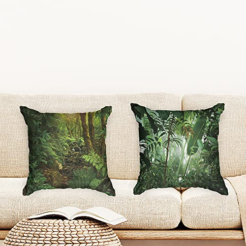 Ulticool - Kissenhülle - Regenwald Natur Öko Pflanzen - Set von 2 Motiven – 45 x 45 cm - Dekokissen ohne Füllung - Kissenbezug Zubehör für Sofa/Bett - Grün