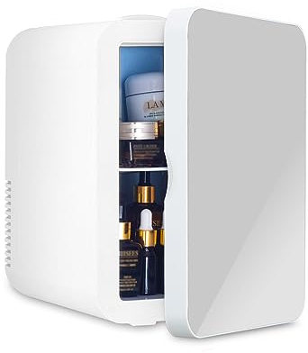 ARTETHYS Mini Fridge for Bedrooms 10L Compact Car Fridge Mini Refrigerator with System Cooler and Warmer for Home Office, 220V AC/12V DC, Silver