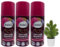Balea 4er Set: Trockenshampoo 3 x 100 ml, Frisches Haar ohne Waschen in Sekunden + 1 x Topfpflanze