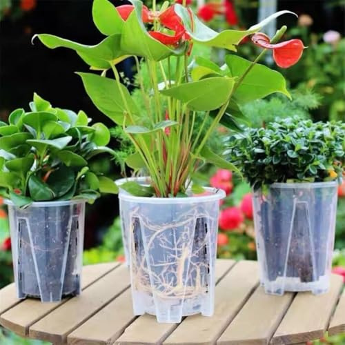 Filteilect Wiederverwendbare transparente Blumentöpfe mit Tabletts, verschiedene Größen für den Innen- und Außenbereich, ideal für Orchideen, Sukkulenten, Kakteen, Friedenslilien im Haus, Garten oder