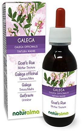 Galega (Galega officinalis) erba con fiori Tintura Madre analcoolica Naturalma - Estratto liquido gocce 120 ml - Integratore alimentare - Vegano