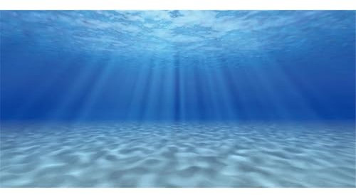 AWERT Rückwand, Unterlage Aquarium, Hintergrund für Aquarien, Motiv: Unterwasserwelt, 121,9 x 45,7 cm, robuster Polyester-Hintergrund