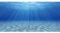 AWERT Rückwand, Unterlage Aquarium, Hintergrund für Aquarien, Motiv: Unterwasserwelt, 121,9 x 45,7 cm, robuster Polyester-Hintergrund