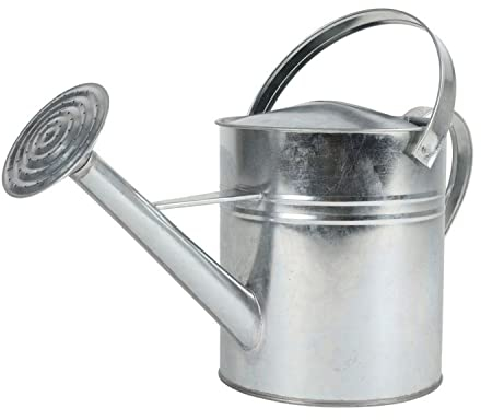 Gießkanne Silber 5L mit Brause Blumengießkanne Wasserkanne Blumenkanne Gartenkanne Kanne (5 Liter Modell 2025)