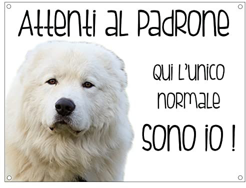 CARTELLO CANE - MAREMMANO Attenti al padrone qui l'unico normale sono io - Con Adesivo in Vinile e Pannello in Forex (Pannello 5mm Stampato)