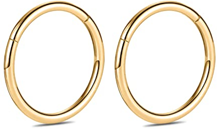 hengkaixuan 12G 2Pcs G23 Titan Nase Hoop Ring Higned Segment Clicker Ring Nahtloser Nasenring Septum Schmuck Conch Hoop Knorpel Helix Tragus Hoop Ohrringe Hoop Sleeper Piercing Schmuck 10mm Gold