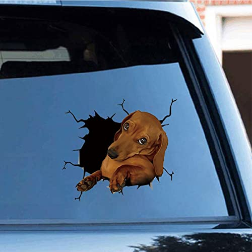 Zpahq Dackel-Auto-Aufkleber, 30 x 30 cm, 3D-Vinyl, wasserdicht, für Wand, Laptop, Auto, Fenster, LKW, Stoßstange, Kühlschrank