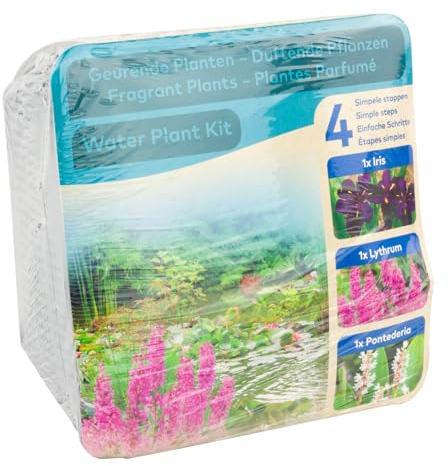 Moerings Waterplants Pond Planting Complete Kit – Fragrant Plants (Iris, Lythrum, and Pontederia)