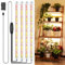 GROWSTAR 4 Bars Grow Lights for Indoor Plants, 240 LEDs Full Spectrum Plant Grow Light Strips with Auto ON/Off Timer 3/9/12Hrs, 10 Brightness, 3 Switch Modes Growing Lamps for Seed Starting, Succulent