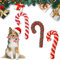 3 Stück Hundespielzeug Zuckerstange, Weihnachten Geschenk Hundespielzeug, Hunde Kauspielzeug, Weihnachts Zuckerstange Seil, Hundespielzeug Seil Baumwolle,Interaktives Hunde Spielseil für Zahnreinigung