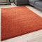 THE RUGS Living Room Rug - Shaggy Soft And Elegant Carpets For The Bedrooms And Kitchen, Easy To Clean, Many Different Sizes (60x110 cm, Terra)