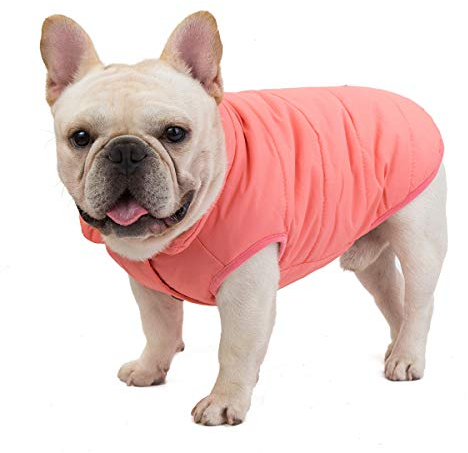 Hundemantel Kaltwettermantel Winddichte Jacke Fleece Warme Hundeweste Winter Dicke Kleidung Hundemantel für Kleine Hunde Bulldogge Mittlere Katze