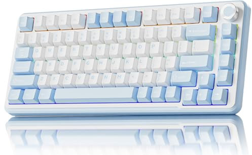 SEUNKWANG EWEADN GS75 Wireless Mechanical Keyboard ASMR, 75% Gaming Keyboard Gasket Hot Swappable Custom Keyboards with RGB, Knob, PBT Keycaps BT5.0/2.4G/USB-C Creamy Keyboards Blue & White