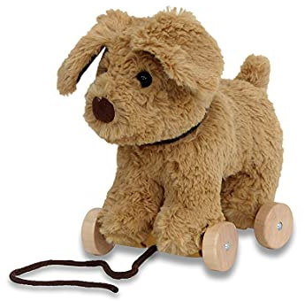 Little Bird Told Me Dexter Dog Pull Along Toy for Baby 6+ Months | Unisex, 2-in-1 Soft Toy, Removable Wheels, Sensory Plush Fabric, British Brand Since 2007