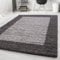 Carpetsale24 Hochflor Teppich Shaggy mit Bordüre 300x400 cm Grau, 2-farbig, flauschig & weich, modernes Design, rechteckig, ideal für sehr große Räume und Wohnlandschaften