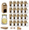 Espirito Rebelde 20 Pots de Conservation en Verre 100 ml avec Courvecle + Boîtes + Étiquettes Kraft + Tissu + Ficelle | Bocaux Alimentaire, Bocaux Sauce Tomate, Bocaux à Confiture, Bocaux pour Miel