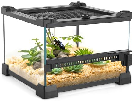 NEPTONION Mini-Reptilien-Glas-Terrarium, 20 x 20 x 14.5 cm, robuster Reptilien-Lebensraum mit hitzebeständigem Rahmen aus Aluminiumlegierung, Einzelschwingtüren, kein Stau durch Sand und Anderen