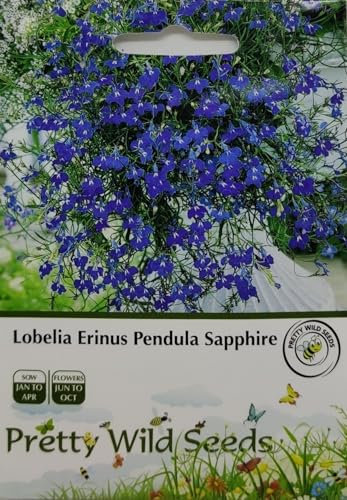 Lobelia Erinus Pendula Sapphire Seeds in Pictorial Packet- 0.5g ~19000 Seeds