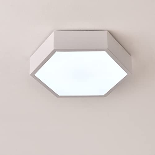 LED Modern Deckenleuchten 24W Hexagon Flurlampe Einfach Deckenlampe Korridor Eingang Deckenbeleuchtung Warmes Licht/kaltes Licht Schlafzimmer Bad Gang Balkon Ø24cm,Weiß