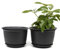 MissFox Lot de 2 Pots de Fleurs avec Soucoupe, 15 cm Pot de Fleur Interieur avec Trous de Drainage, Pot Plastique Plante Convient aux Jardins de Balcon Intérieurs et Extérieurs