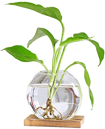 YXSH Tabletop Hanging Glass Planter Station Moderne Blumenknospenvase In Holzständer Rack Terrarium Für Hydrokultur Pflanzen Stecklinge Büro Dekoration