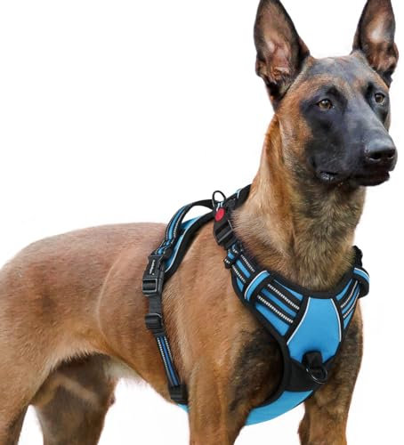 rabbitgoo Hundegeschirr Grosse Hunde, Verstellbare Geschirr Hund ohne Zug & Würgen, Anti Zug hundegeschirr mit Griff, weich Gepolsterte Reflektierende Brustgeschirr, Hellblau XL