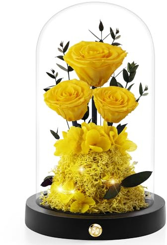 Agrul Flowers Roses Gifts for Mom,Forever Real Preserved Roses in Glass Dome,Mothers Day for Wife Girlfriend Women Best Friend Grandma/Yellow Rose