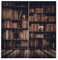 Verrückter 2 Größen 3D-Bücherregal gedruckt Shading Vorhänge Vorhänge(170 * 200cm), Wohnzimmer Vorhänge 3D Bücherregal Gedruckt Shading Vorhänge Schlafzimmer Vorhänge (170 * 200 cm)