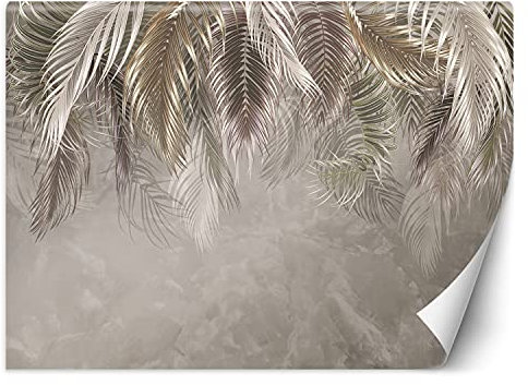 Feeby Papier Peint Intisse Nature Tropicale Feuilles 250x175 cm gris XXL Photo Mural Muraux Tapisserie Brume Nuages Texture