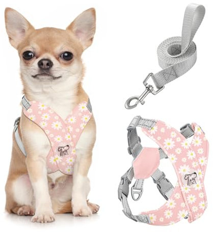 Pawaboo Hundegeschirr mit Hundeleine Set, X-Rahmen Verstellbares Anti Zug Anti-Erstickung Hund Brustgeschirr für Kleine, Mittelgroße Hunde & Welpen, Hundeweste mit Leine, S, Rosa Gänseblume